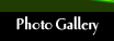 Photo Gallery