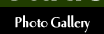 Photo Gallery