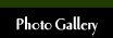 Photo Gallery